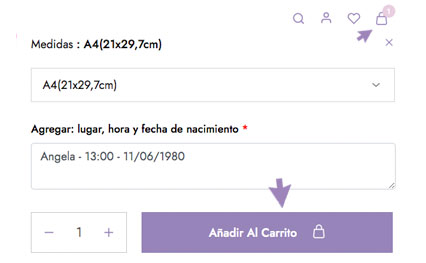Paso 4